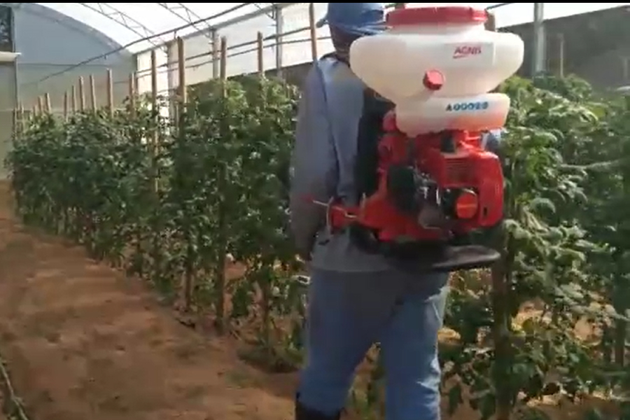 Polinização artificial utilizando pulverizador costal