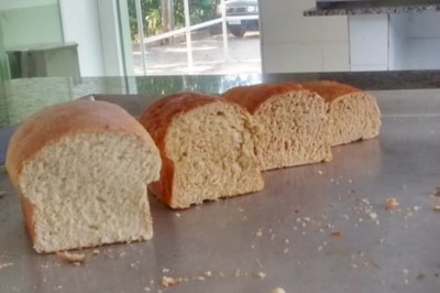 Pães produzidos com farinha de maracujá