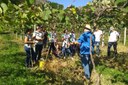 Visita técnica à Fazenda da Uva