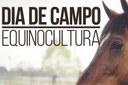 Dia de Campo