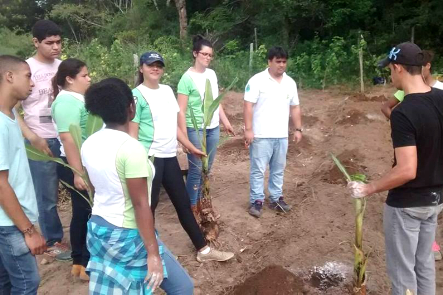 Mutirão Meio Ambiente