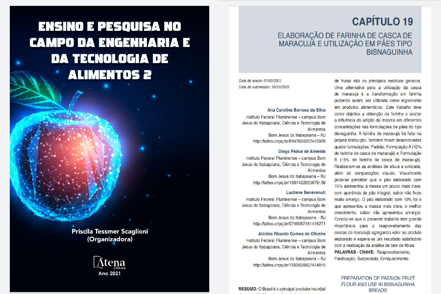 Estudantes do CTA publicam capítulo de livro sobre projeto desenvolvido no IFF Bom Jesus