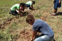 Abóbora e couve foram as culturas estudadas na olericultura.