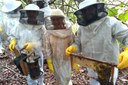 Curso de Boas práticas na colheita e beneficiamento de mel