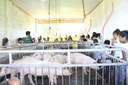 Visita aos setores produtivos O grupo conheceu também os vários setores da suinocultura.