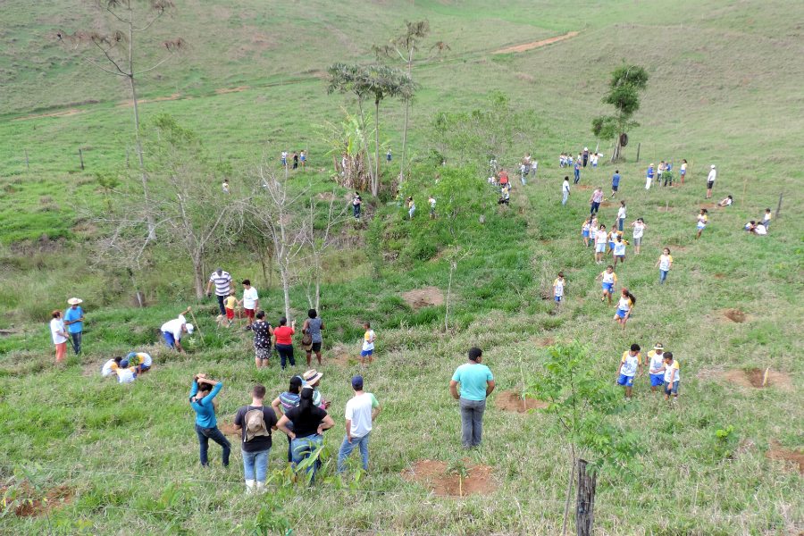 Projeto Nascente