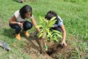 A mais recente ação do projeto realizou o plantio de 500 mudas em Rosal.