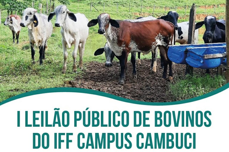 I Leilão Público de Bovinos do Campus Avançado Cambuci