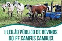 I Leilão Público de Bovinos do Campus Avançado Cambuci