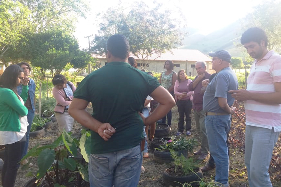 IFF CAMBUCI SEDIA PALESTRA SOBRE PLANTAS MEDICINAIS E FITOTERÁPICOS