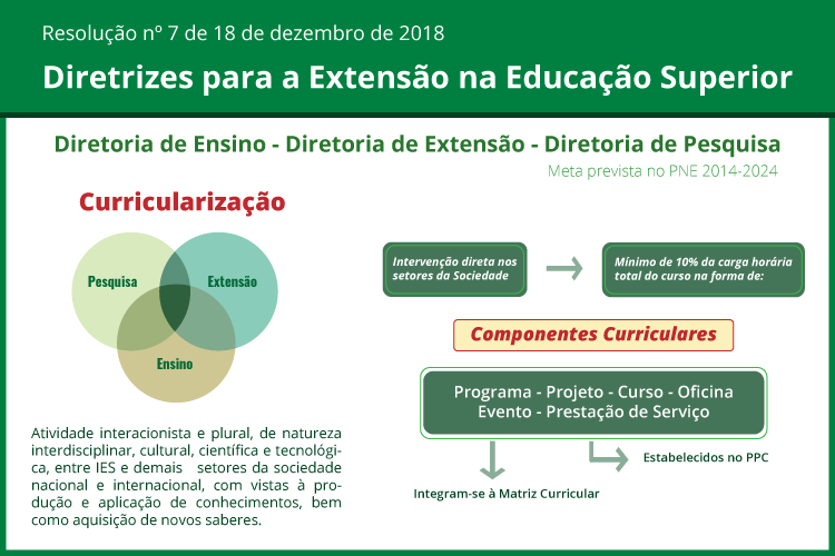 Representação Processo de Curricularização