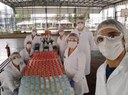 Doação de álcool 70% líquido é separada em laboratório do IFF