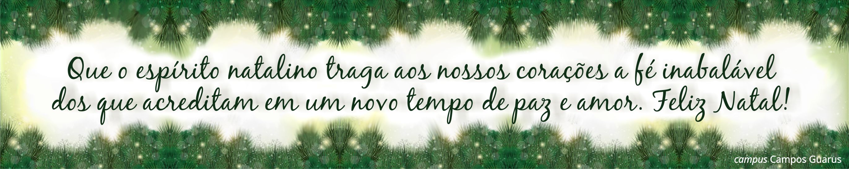 Banner Natal