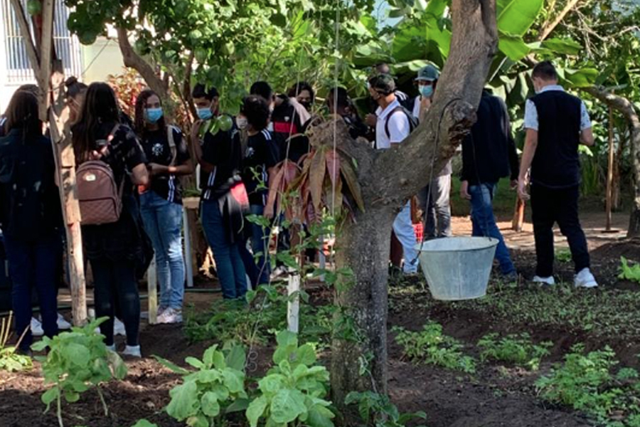 Projetos Capivara e Zara participaram da Semana do Meio Ambiente