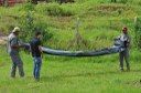 A Coordenação de Infraestrutura fez um mapeamento do campus, seguindo de mutirão de limpeza e caça a possíveis focos do mosquito