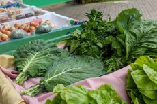 Feira de Alimentos foi uma das atividades promovidas.