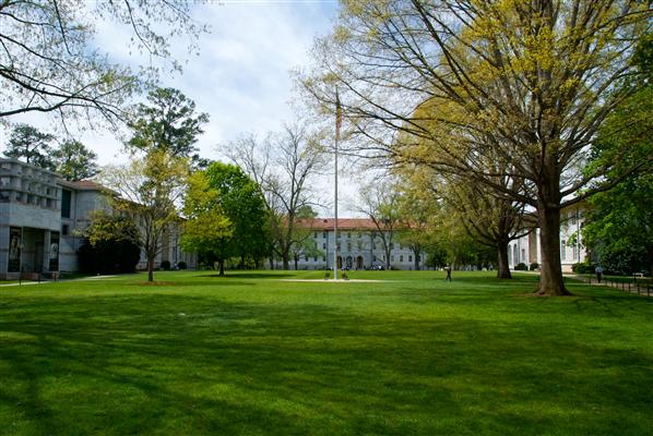 Universidade Emory nos Estados Unidos abre chamada para professores brasileiros