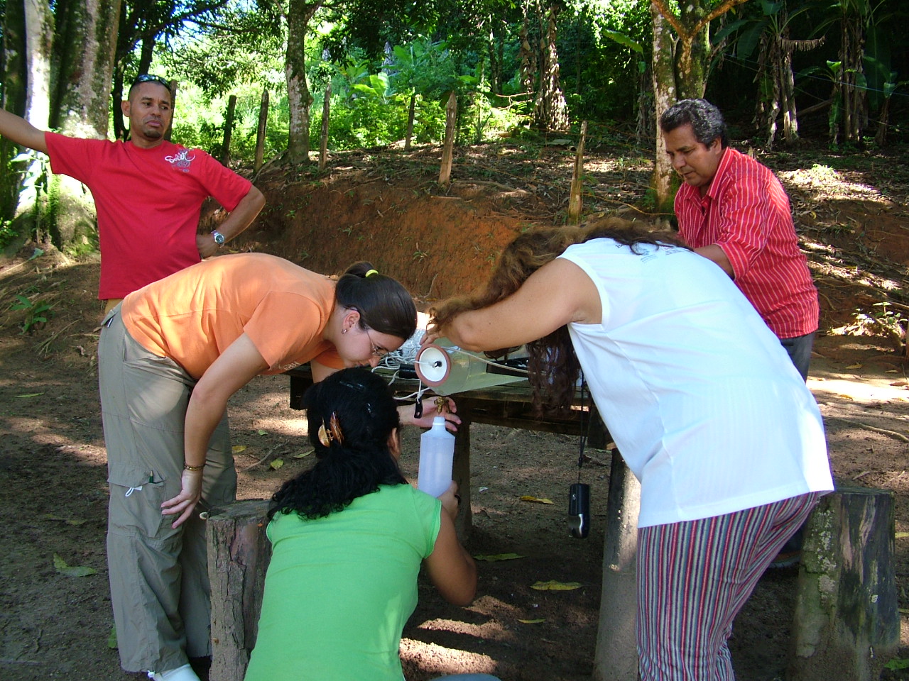 Figueira Branca coleta