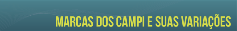 banner marcas dos campi e variações.png