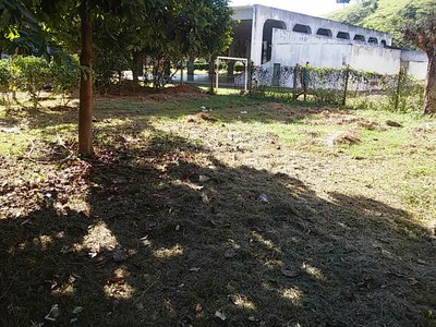 Espaço escolhido para a construção da horta escolar.