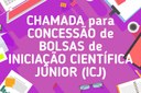 Chamada para concessão de Bolsas de Iniciação Científica Júnior