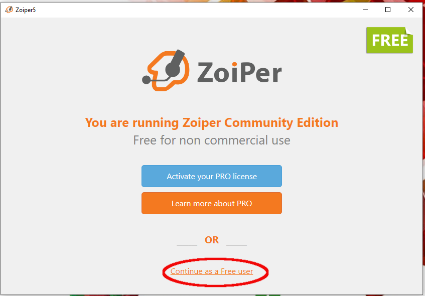 VOIP13